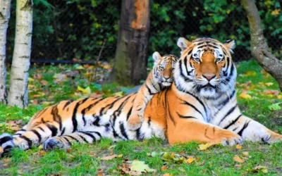 ZOO Hodonín